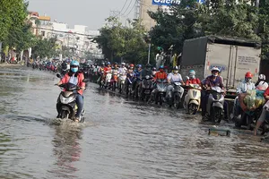 Căng mình chống chọi với triều cường