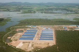 Trại heo khủng đe dọa nguồn nước đầu nguồn TP.HCM