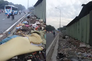 Đã dọn bãi rác khổng lồ giữa phố