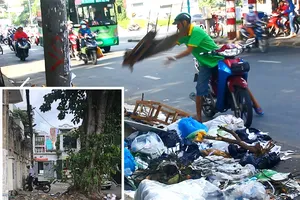 Rác - nỗi ám ảnh của người dân thành phố