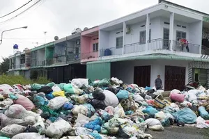 Sẽ có nhiều ông Đoàn Ngọc Hải ‘rút kiếm’ cho coi!