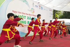 'Xe lăn đao' của môn phái Việt Nam võ đạo Tây Sơn Bình Định