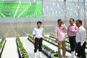 Về hợp đồng đưa người của SAGRI du lịch nước ngoài