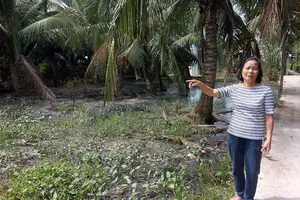 Tòa ‘quên’ ủy ban nên bị hủy án