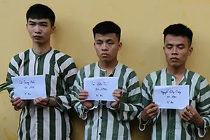 Bình Dương chặt ‘vòi bạch tuộc’ tín dụng đen