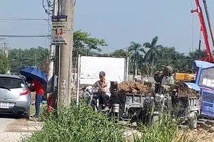 TP.HCM: Đất quận 9 đang có dấu hiệu sốt ảo