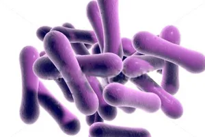 Bệnh bạch hầu bùng phát mạnh tại Kon Tum sau 11 năm