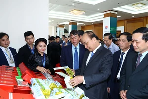 Thủ tướng chỉ ra 3 định hướng phát triển kinh tế Cao Bằng