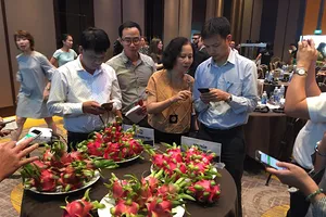 Thanh long được giá nhờ công nghệ blockchain