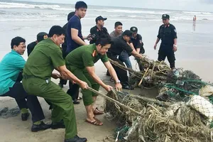 Miền Trung sắp hứng đợt lũ mới