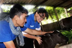 Vì sao có quy định cấm đánh đập trâu, bò, heo?