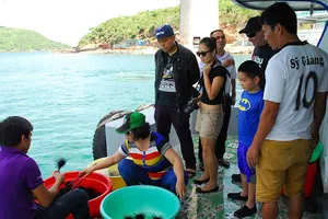 Nở rộ tour du lịch Tết sang chảnh, ‘độc, lạ’