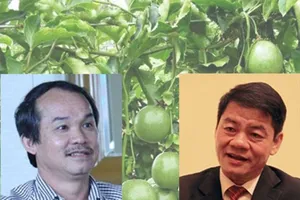 Chuyện về các tỉ phú đôla người Việt ngày đầu năm