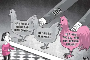 Vụ kiện 3 con gà qua nhà hàng xóm