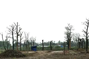 Hải Phòng: Đua nhau san lấp đất nông nghiệp ven đường