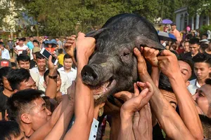Lễ hội: Vì sao bà già, trẻ con cũng lao vào cướp chiếu?