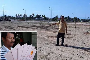 Ninh Thuận: Yêu cầu giải trình vụ ủi vườn dừa