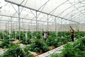 Biến dự án ở Đồng Nai từ công sang tư