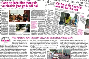 Hãy ngừng săn bắt, mua bán chim phóng sinh!