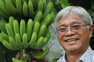 Ông trùm chuối Việt: ‘Tôi khởi nghiệp tới 25 lần!’