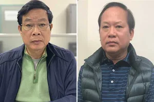 Vì sao ông Trương Minh Tuấn và Nguyễn Bắc Son bị bắt?