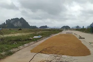 Đất Vân Đồn chỗ nguội ngắt, nơi bỏng tay