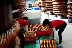 Tranh cãi kịch liệt về tiêu chuẩn nước mắm