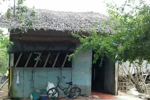 14 năm ròng đòi tiền mua đấu giá