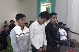 Trộm 70 con gà, 1 con bò, 3 thanh niên lãnh 50 tháng tù