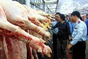 Không vì dịch tả heo châu Phi mà tẩy chay thịt heo