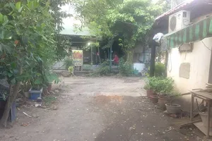 Mẹ ủy quyền cho con là thẩm phán ra tòa, được không?