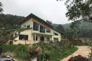 Phá rừng Sóc Sơn: Bất ngờ với kiến nghị của Thanh tra Hà Nội