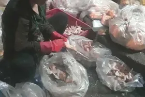 Ớn lạnh gà bán trong trung tâm giết mổ gia cầm
