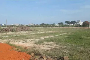 Đầu cơ đất ruộng: Thắng lớn hay mất trắng?