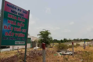 Coi chừng bỏng tay khi mua đất Cần Giờ