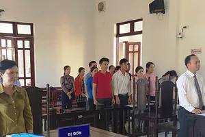12 giáo viên yêu cầu phòng giáo dục nhận lại làm việc