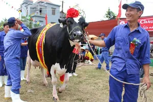 'Bữa tiệc' thâu tóm còn dang dở của đại gia