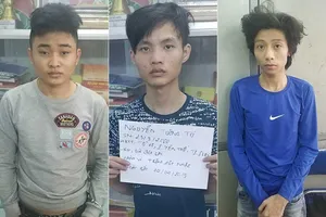 Băng trộm tiền tỉ nhiều công ty ở TP.HCM sa lưới