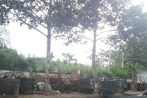 Cần Thơ: Đường phố thành bãi tập kết rác thải