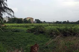 Bán biệt thự, nhà ở qua hình vẽ ở Bình Thuận