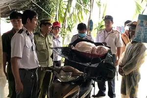 Bán thịt heo dịch bệnh, phạt đến 100 triệu đồng
