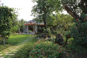 Độc đáo ‘nhà trong rừng’ sát trung tâm thành phố