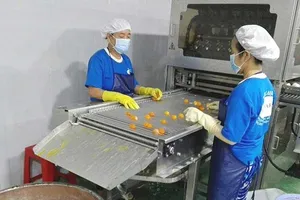 Sếp công ty bán lòng đỏ trứng vịt: 'Tôi thích mới lạ'