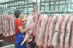 Giá thịt heo tăng sốc, khan hiếm