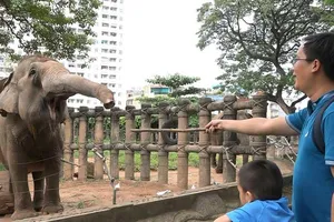 Những điều đáng sợ trong vườn thú