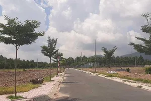 Phú Mỹ: Lách quy định tách thửa để phân lô trái phép