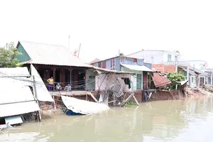 Sạt lở, xâm nhập mặn bủa vây ĐBSCL