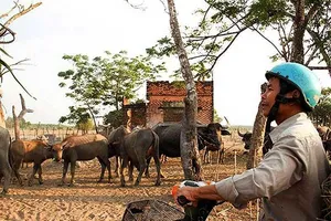 Nhiều sai phạm tại dự án Công viên Sài Gòn Safari