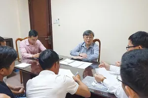 Vụ gỗ khô: Áp dụng sai pháp luật