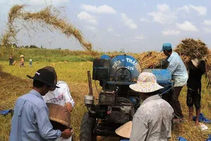 Trung Quốc siết tiêu chuẩn, hàng Việt lao đao